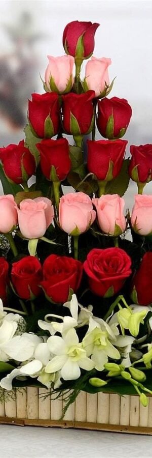 Roses & Orchid Basket