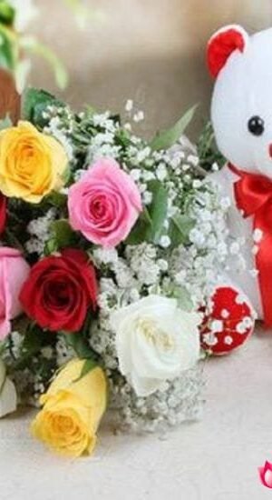 Soft Sentiments