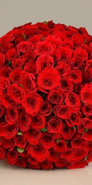 Valentine Day Special