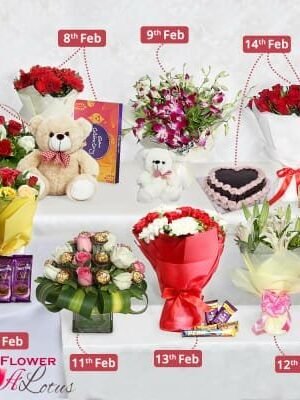 Valentine's 8 Days Memorable Gift
