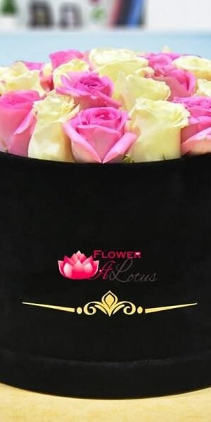 White N Pink Floral Delight