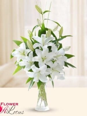White lilies