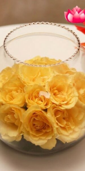 Yellow   Marine