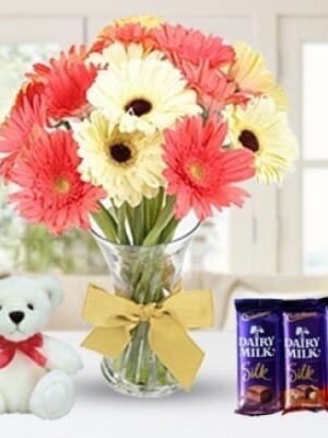 Bunch of 10 stems of Pink and White Gerberas!
